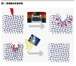 圖7 聚氫酯自修復原理
