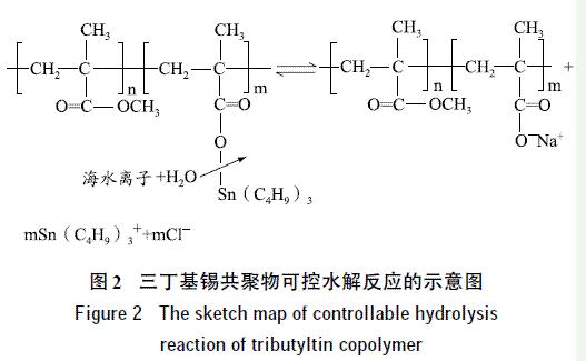圖2 三丁基錫共聚物可控水解反應的示意圖